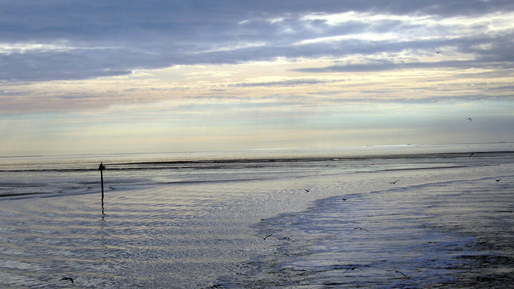 Waddenzee 2