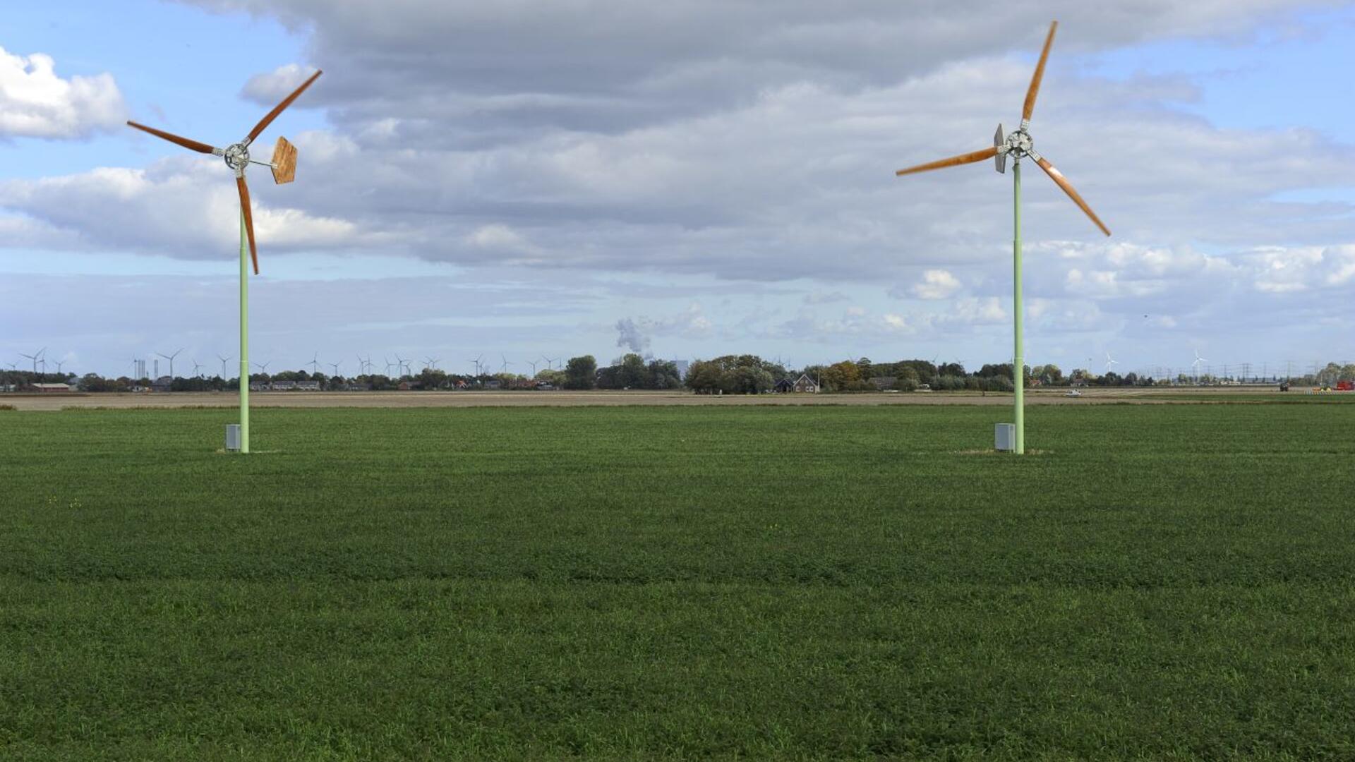 molentjes met Eemshaven in de achtergrond